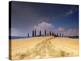 Cottage and Cypress Trees Near Pienza, Val d'Orcia, Siena Province, Tuscany, Italy, Europe-Sergio Pitamitz-Stretched Canvas