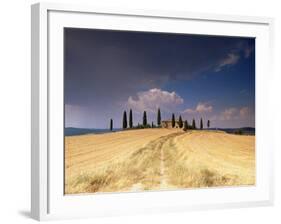 Cottage and Cypress Trees Near Pienza, Val d'Orcia, Siena Province, Tuscany, Italy, Europe-Sergio Pitamitz-Framed Photographic Print