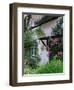 Cottage and Flowers, Wherwell, Hampshire, England, United Kingdom-Jean Brooks-Framed Photographic Print