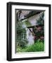 Cottage and Flowers, Wherwell, Hampshire, England, United Kingdom-Jean Brooks-Framed Photographic Print