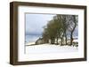 Cottage and trees, Torr Head, County Antrim, Ulster, Northern Ireland, United Kingdom, Europe-Carsten Krieger-Framed Photographic Print