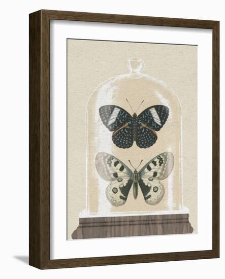 Cottage Butterflies I-Wild Apple Portfolio-Framed Art Print