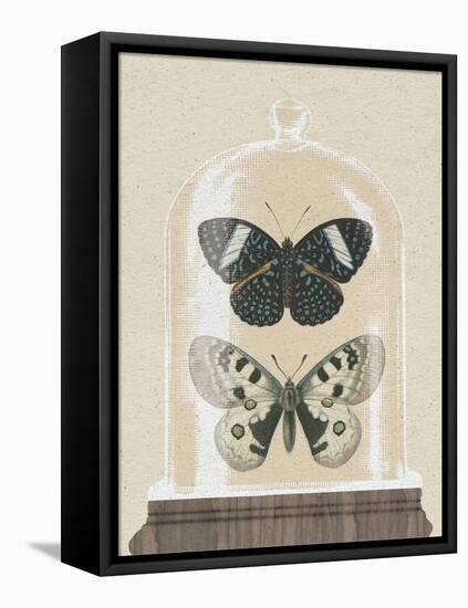 Cottage Butterflies I-Wild Apple Portfolio-Framed Stretched Canvas