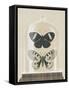 Cottage Butterflies I-Wild Apple Portfolio-Framed Stretched Canvas