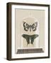 Cottage Butterflies II-Wild Apple Portfolio-Framed Art Print