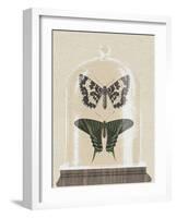Cottage Butterflies II-Wild Apple Portfolio-Framed Art Print