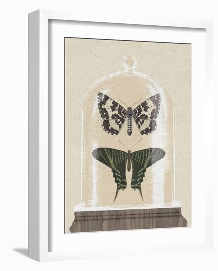 Cottage Butterflies II-Wild Apple Portfolio-Framed Art Print