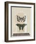 Cottage Butterflies II-Wild Apple Portfolio-Framed Art Print