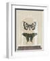 Cottage Butterflies II-Wild Apple Portfolio-Framed Art Print