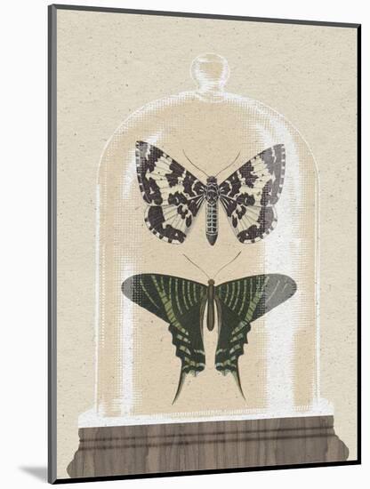 Cottage Butterflies II-Wild Apple Portfolio-Mounted Art Print