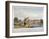 Cottage Erected in St James's Park for the Ornithological Society of London, Westminster, 1844-John Burges Watson-Framed Giclee Print