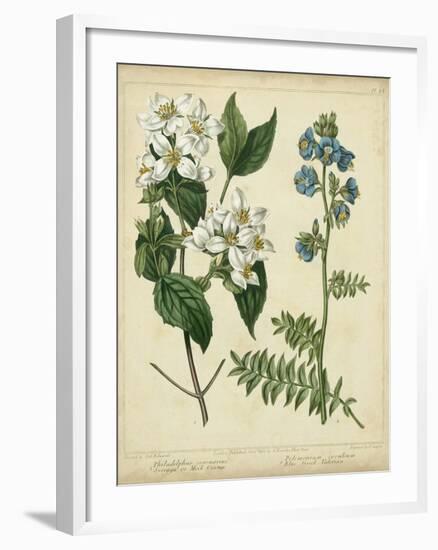 Cottage Florals I-Sydenham Teast Edwards-Framed Art Print