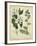 Cottage Florals I-Sydenham Teast Edwards-Framed Art Print