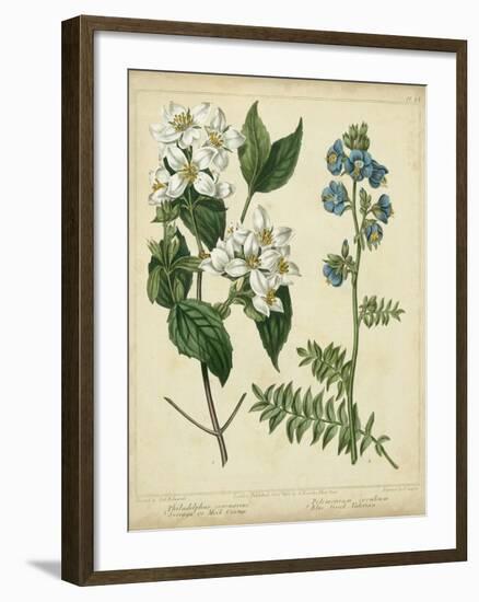 Cottage Florals I-Sydenham Teast Edwards-Framed Art Print