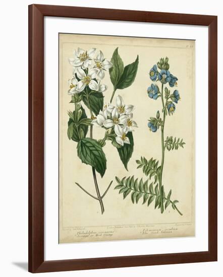 Cottage Florals I-Sydenham Teast Edwards-Framed Art Print