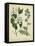 Cottage Florals I-Sydenham Teast Edwards-Framed Stretched Canvas