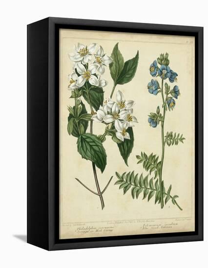Cottage Florals I-Sydenham Teast Edwards-Framed Stretched Canvas