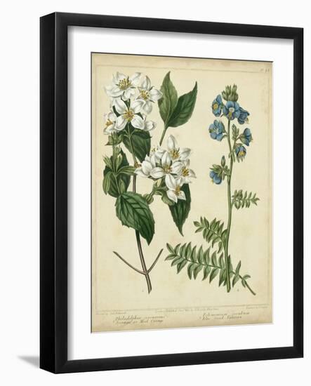 Cottage Florals I-Sydenham Teast Edwards-Framed Art Print