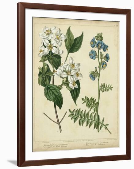 Cottage Florals I-Sydenham Teast Edwards-Framed Art Print