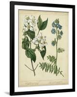 Cottage Florals I-Sydenham Teast Edwards-Framed Art Print