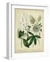 Cottage Florals II-Sydenham Teast Edwards-Framed Art Print