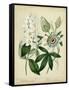 Cottage Florals II-Sydenham Teast Edwards-Framed Stretched Canvas