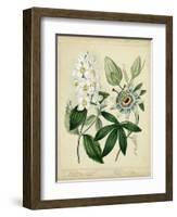 Cottage Florals II-Sydenham Teast Edwards-Framed Art Print