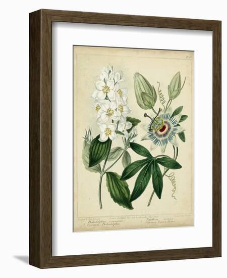 Cottage Florals II-Sydenham Teast Edwards-Framed Art Print