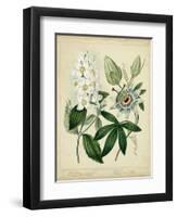 Cottage Florals II-Sydenham Teast Edwards-Framed Art Print