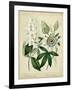 Cottage Florals II-Sydenham Teast Edwards-Framed Art Print