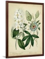 Cottage Florals II-Sydenham Teast Edwards-Framed Art Print