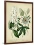 Cottage Florals II-Sydenham Teast Edwards-Framed Art Print