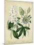 Cottage Florals II-Sydenham Teast Edwards-Mounted Art Print