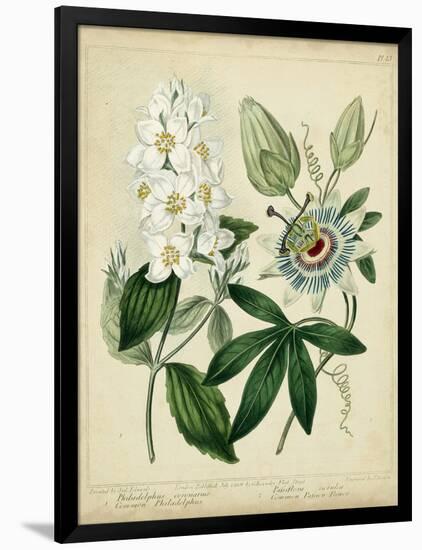 Cottage Florals II-Sydenham Teast Edwards-Framed Art Print