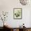 Cottage Florals II-Sydenham Teast Edwards-Framed Stretched Canvas displayed on a wall