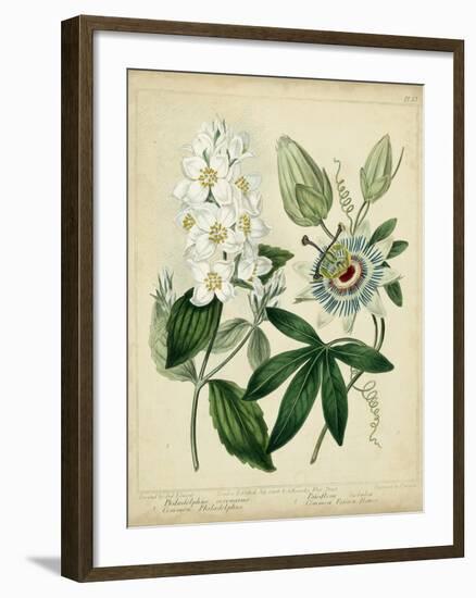 Cottage Florals II-Sydenham Teast Edwards-Framed Art Print