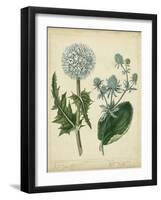 Cottage Florals III-Sydenham Teast Edwards-Framed Art Print