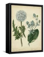Cottage Florals III-Sydenham Teast Edwards-Framed Stretched Canvas