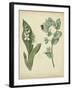 Cottage Florals IV-Sydenham Teast Edwards-Framed Art Print