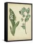 Cottage Florals IV-Sydenham Teast Edwards-Framed Stretched Canvas