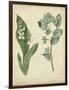 Cottage Florals IV-Sydenham Teast Edwards-Framed Art Print