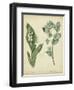 Cottage Florals IV-Sydenham Teast Edwards-Framed Art Print