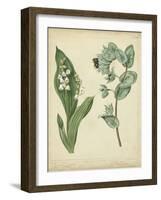 Cottage Florals IV-Sydenham Teast Edwards-Framed Art Print