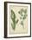 Cottage Florals IV-Sydenham Teast Edwards-Framed Art Print