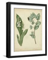 Cottage Florals IV-Sydenham Teast Edwards-Framed Art Print