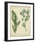 Cottage Florals IV-Sydenham Teast Edwards-Framed Art Print