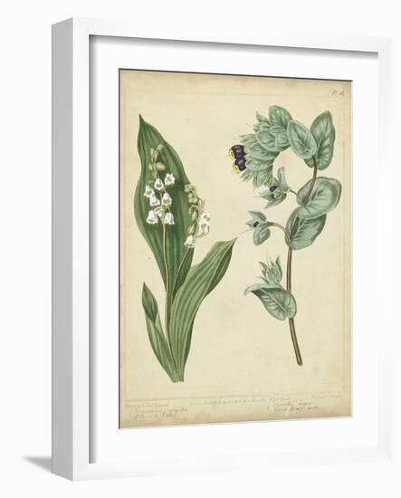 Cottage Florals IV-Sydenham Teast Edwards-Framed Art Print