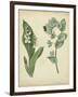 Cottage Florals IV-Sydenham Teast Edwards-Framed Art Print
