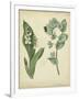 Cottage Florals IV-Sydenham Teast Edwards-Framed Art Print