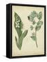 Cottage Florals IV-Sydenham Teast Edwards-Framed Stretched Canvas